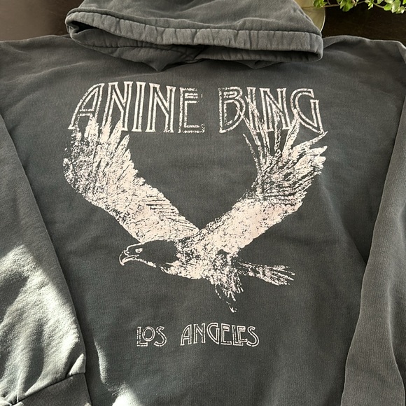 Anine Bing Rowe Eagle Hoodie in Washed Black - Picture 3 of 6